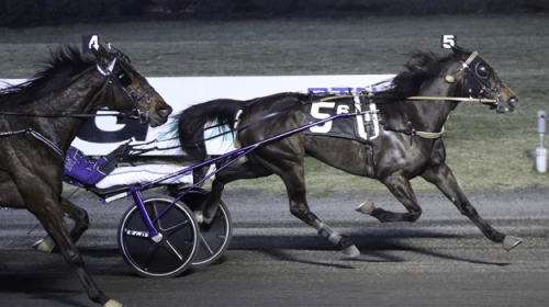 Melander vann ”fel”lopp