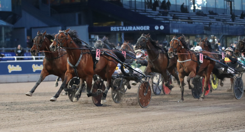 V75: Pwojtech Vrijthout gör comeback