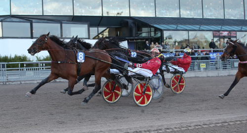 Svenskfödd skrällvinnare