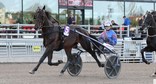 V75-tips: Skjuter från höften