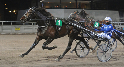 Årsdebut med mersmak