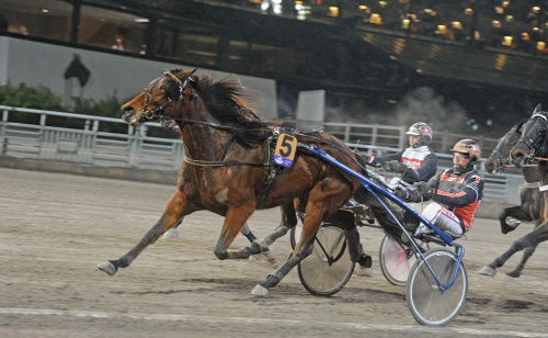 Delat i toppen