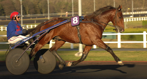 Fransk topphingst ur tiden