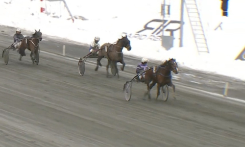 Fixade seger med sju längder