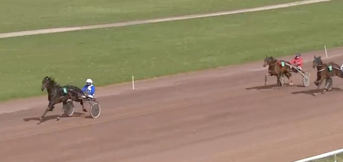 Svenskägd vinnare i Argentan