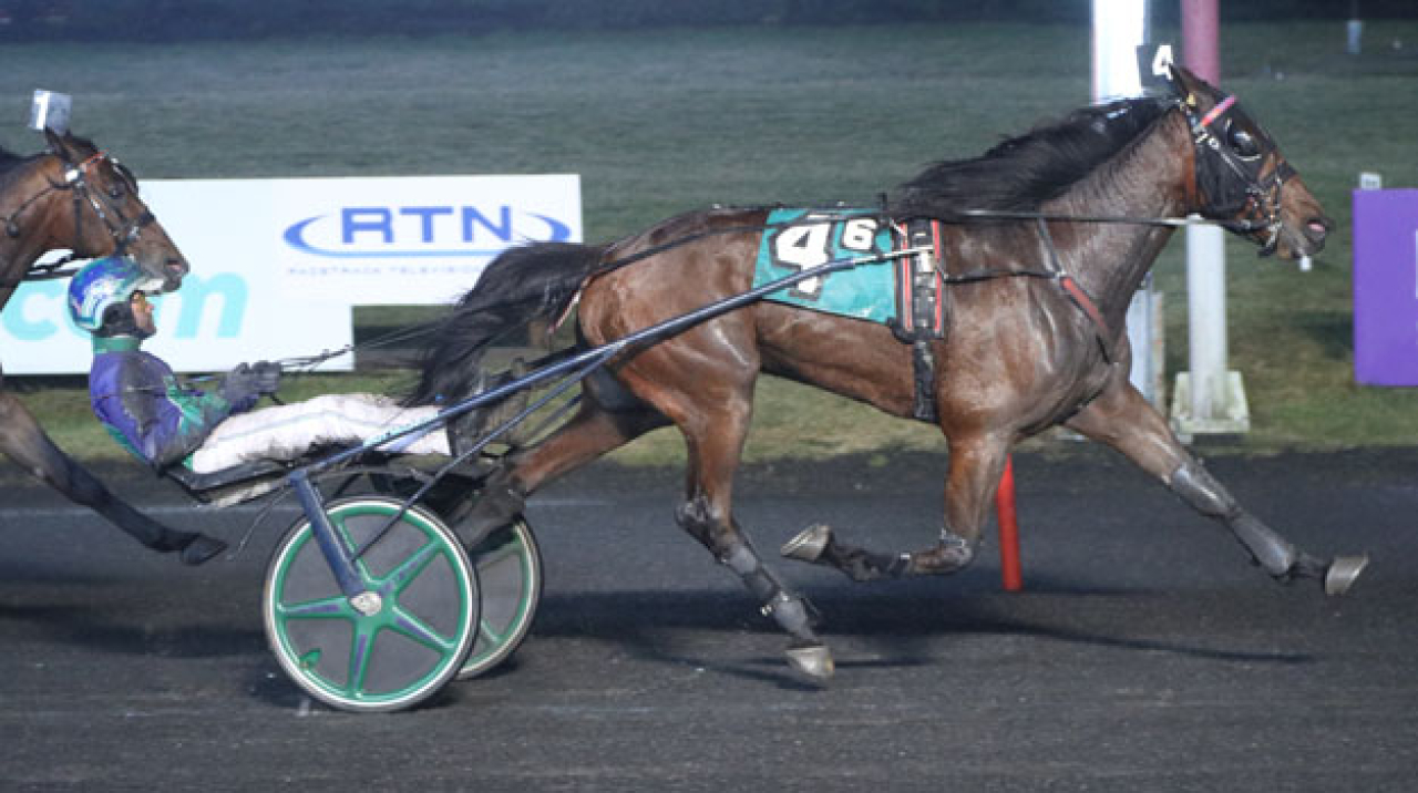 Betterinpinehurst vid nattens seger på Meadowlands på årsbästa i USA 2024. Foto: Lisa Photo