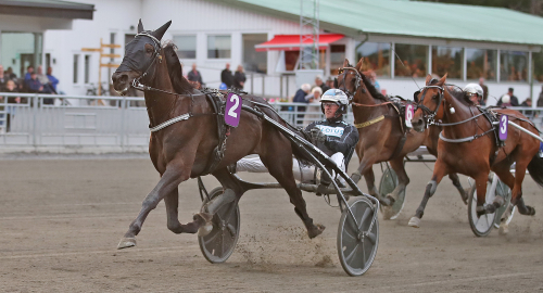 V86-tips: Jämnstreckat – vi tar ställning