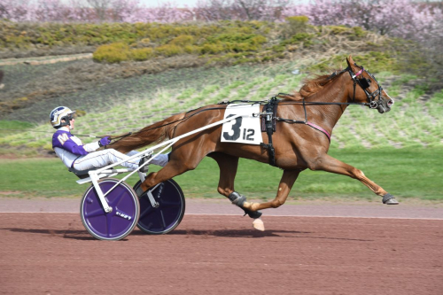 Segertåget fortsätter