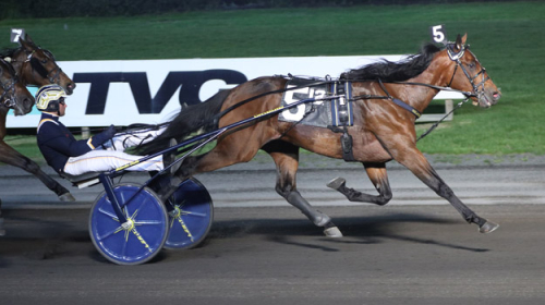 Obesegrad under 2024