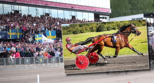Historisk irländare till Solvalla?