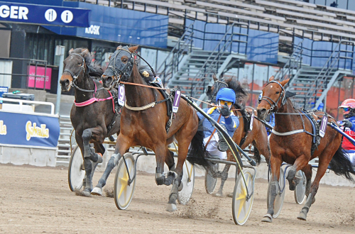 Nordinare vann på Solvalla