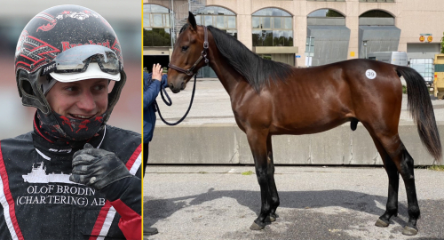 ”Han är bäst av treåringarna”