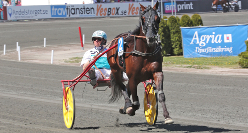 Vilket inslag, City Slicker!