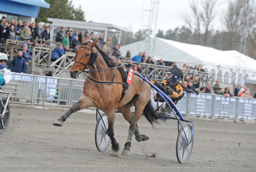 Tio segrar för S.J.’s Caviar