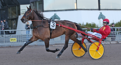 BC: Miljonhäst levererade