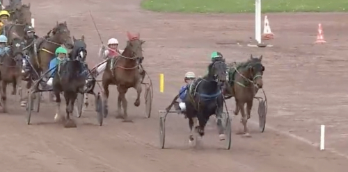 Goop-hingst fortsatt obesegrad