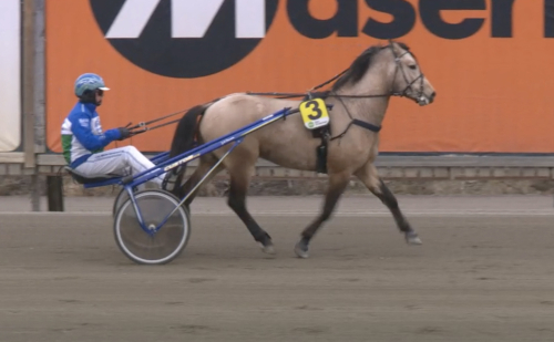 Kall skånepåg skrällde