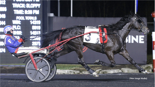Obesegrad i fem starter