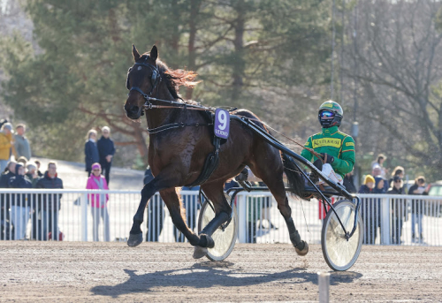 Svenskfödd till Finlandia-Ajo