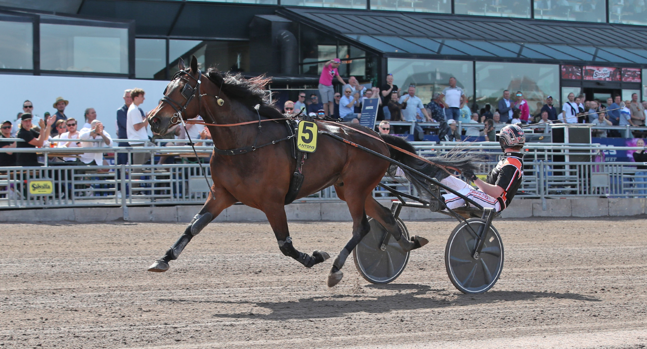 Henrik Kihle och Go For Manny vid seger i K G Holgerssons Minneslopp under elitloppshelgen 2024. Foto Mathias Hedlund/Sulkysport