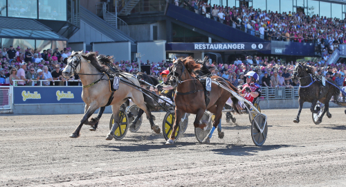 V75-tips: Jackpot med tre spikar