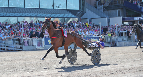 Elitloppshästar i Kalmar