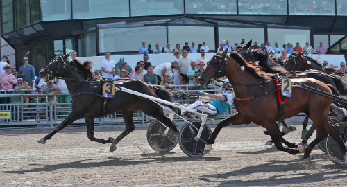 ”Har hittat ett nytt liv”