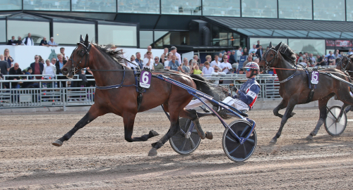 Starkast i Lilla Harpers