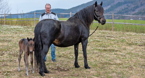 Norsk stjärna har blivit mor