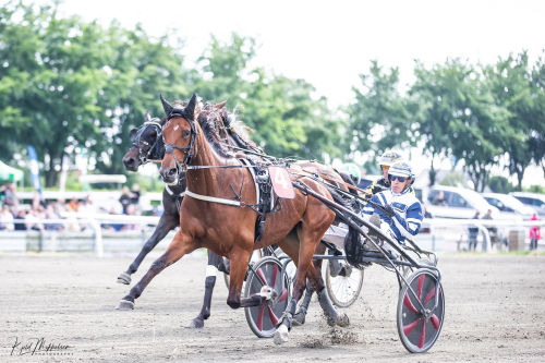 Foxtail Pine vann Stosprintern