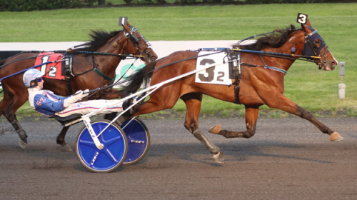 Arneng köpte dyring