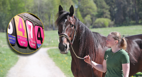 Elitloppsbiljett i blicken