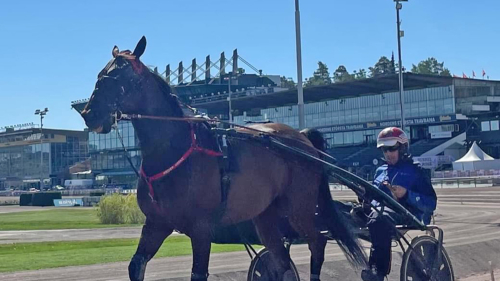 Harry har testat Solvalla