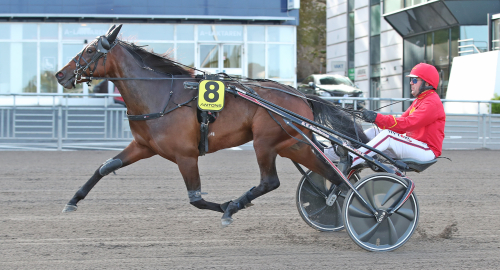 Talangfullt sto död