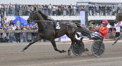 Drottningen från USA