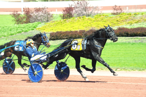 Bröderna Melander slog till