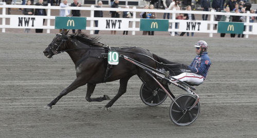 V75: Revansch i Harpers?