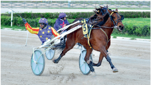 From Above-dotter i topp