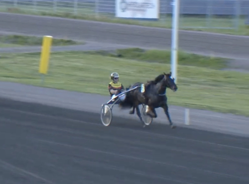 Lekstuga för Majblomster