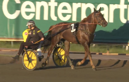 Världsrekord av kallblod