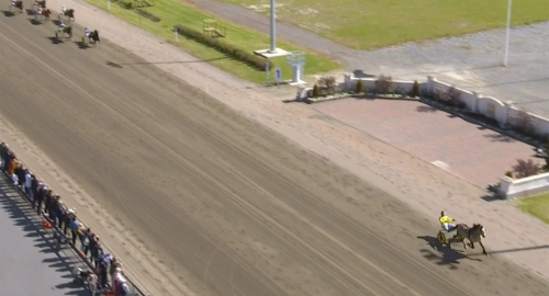 Brenne Borkens nya show