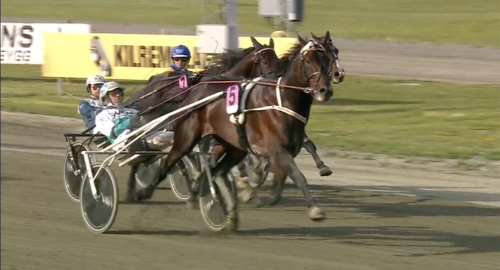 V75: Andra raka för Hail Mary