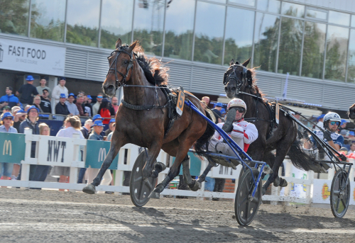 V75-tips: Två spikar på midnattstravet