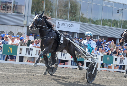 Heavenly Zet på väg tillbaka