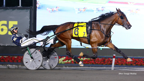 Ny stjärna tändes i natt