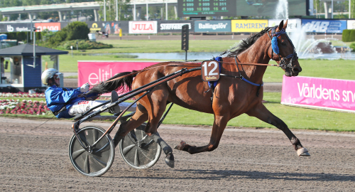 Harpers-trean till Finland