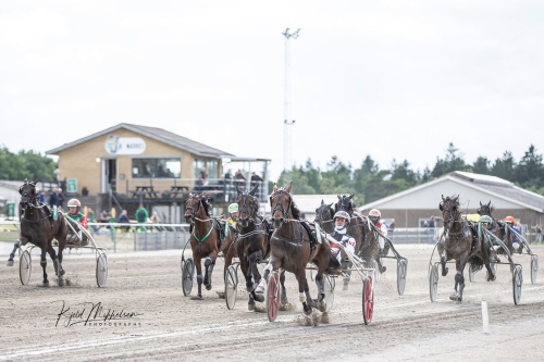 Kriterievinnare till Westholm