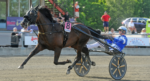 ”En häst utöver det vanliga”