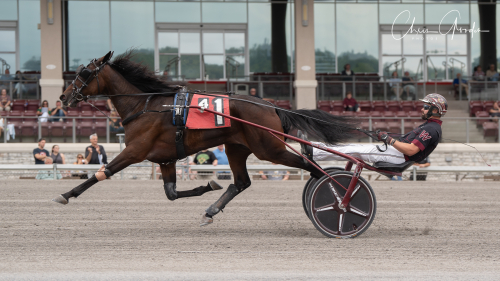 Greenshoe-ston dominerade