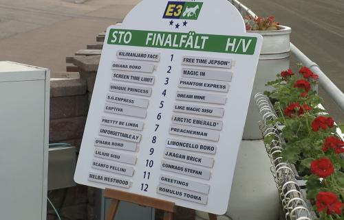 Lottat till E3-finalerna